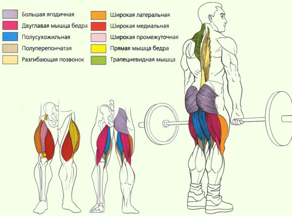 Становая тяга классическая